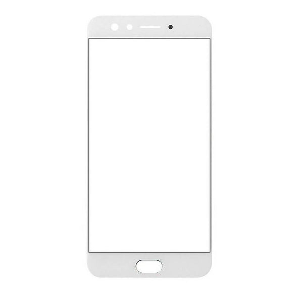 Oppo F3 LCD Glass With Oca