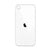 iPhone SE 2 Back Glass